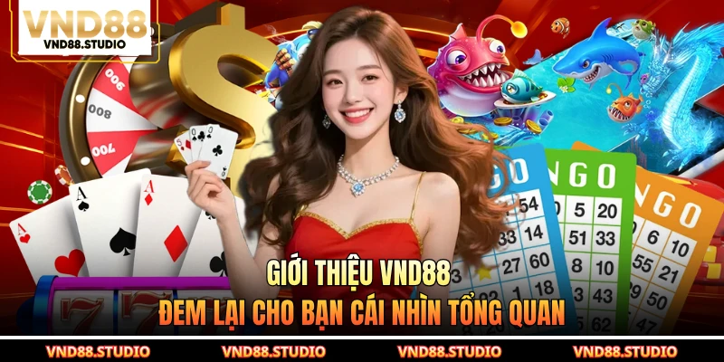 Giới thiệu VND88 đem lại cho bạn cái nhìn tổng quan