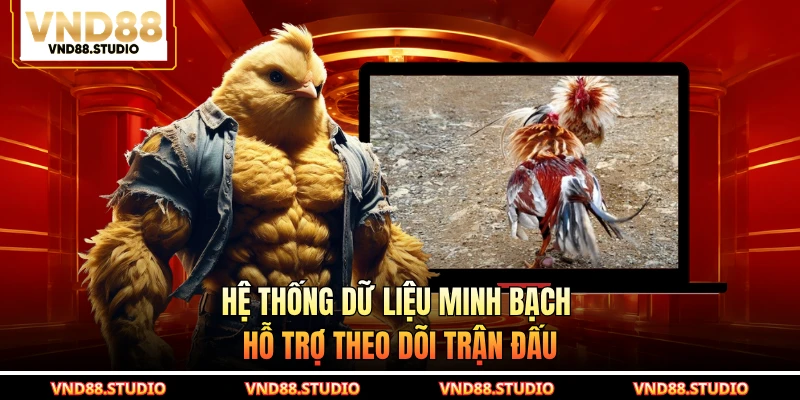 Hệ thống dữ liệu minh bạch hỗ trợ theo dõi trận đấu