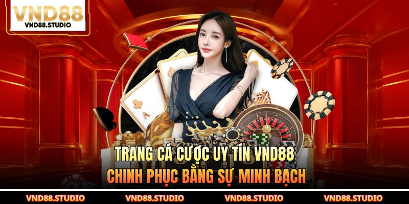 Trang cá cược uy tín VND88 chinh phục bằng sự minh bạch